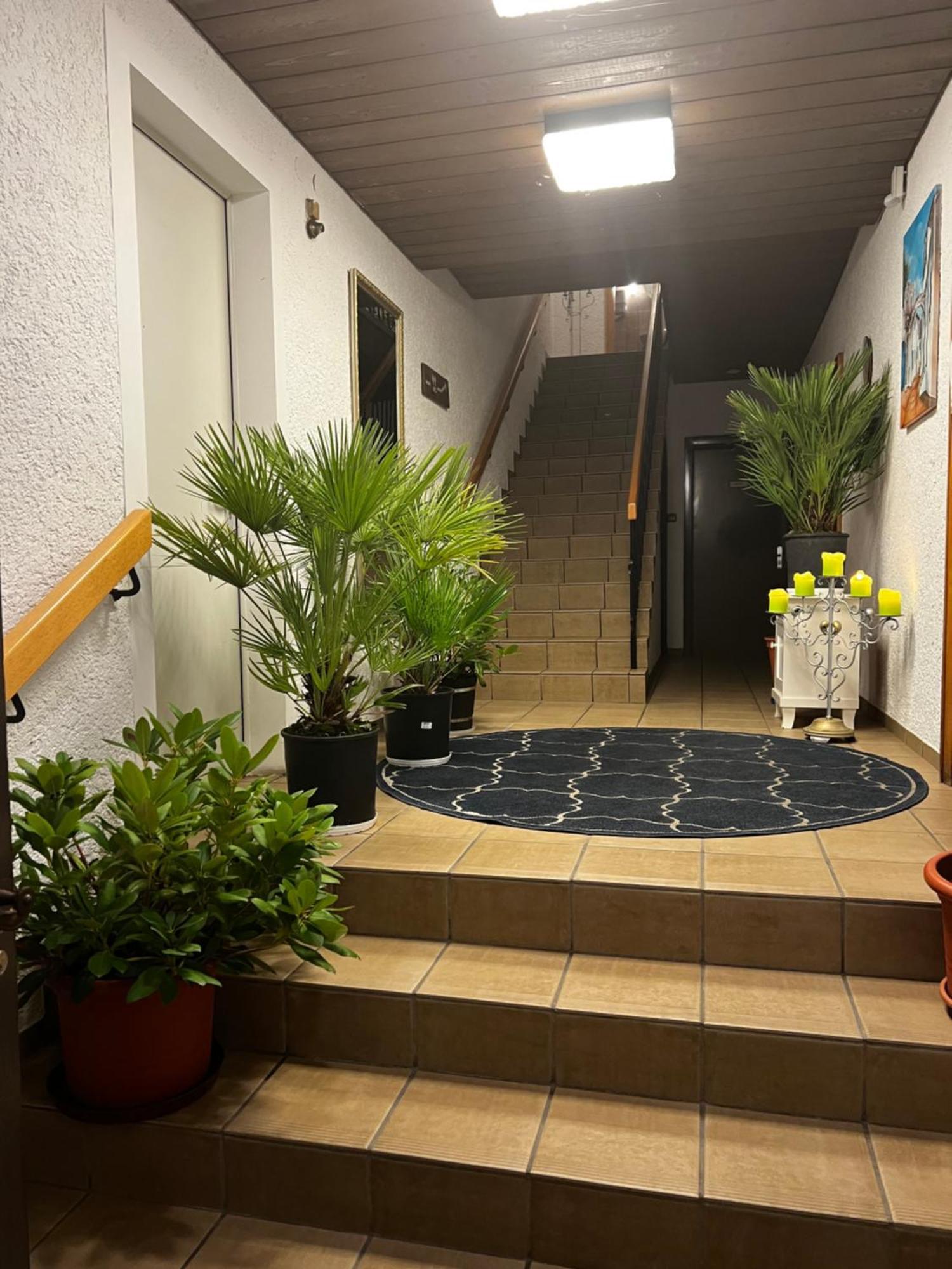 Gasthof Stern Asteri Frickenhausen  Екстериор снимка